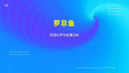 罗非鱼    