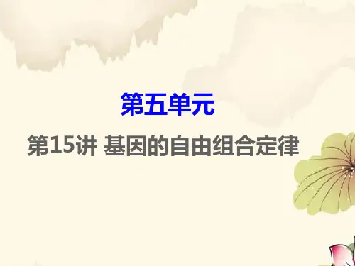 高考生物一轮复习3：第15讲 基因的自由组合定律优质课件