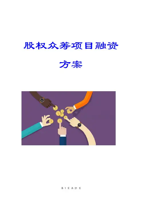 股权众筹项目融资方案产品众筹方案全案商业计划书模板【顶级版】