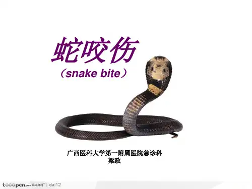 蛇咬伤急救 ppt课件