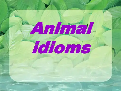 animal idioms