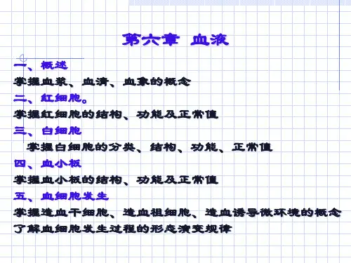 组织胚胎学血液及血细胞的发生.pptx