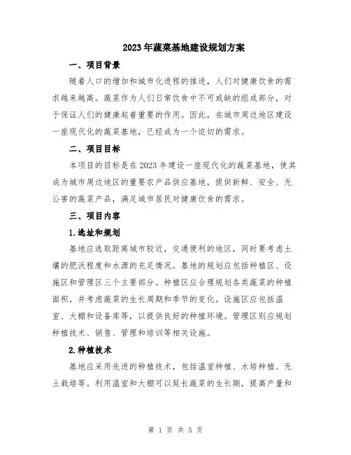2023年蔬菜基地建设规划方案