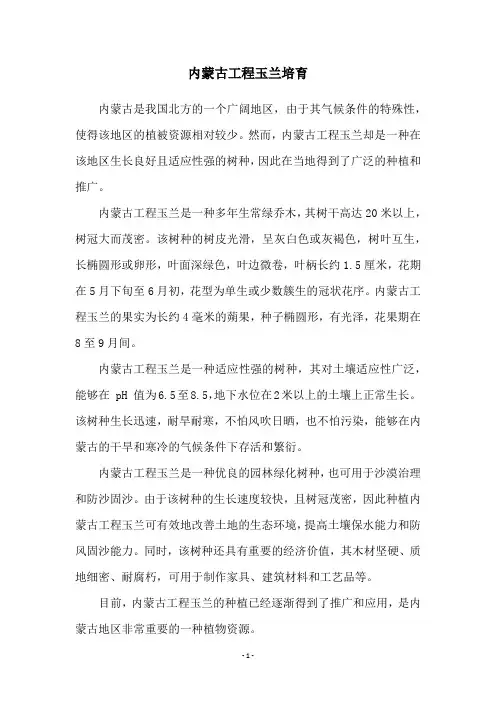 内蒙古工程玉兰培育
