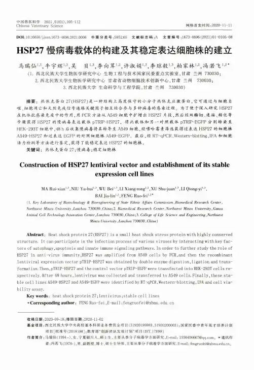 HSP27慢病毒载体的构建及其稳定表达细胞株的建立