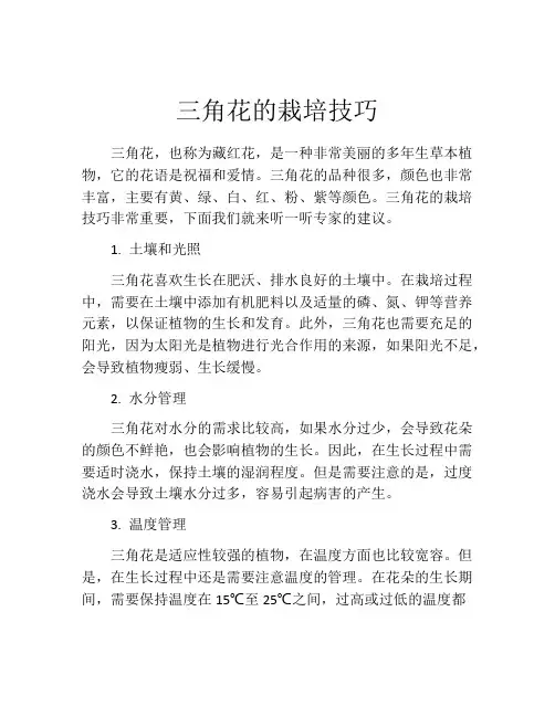 三角花的栽培技巧