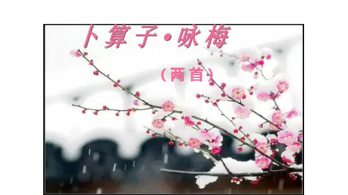 必背《卜算子·咏梅》(作者：陆游)ppt课件