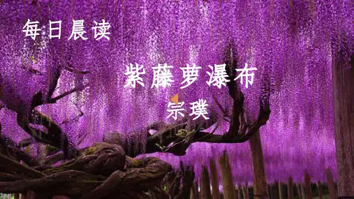 第18课《紫藤萝瀑布》 (共36张PPT)     部编版语文七年级下册