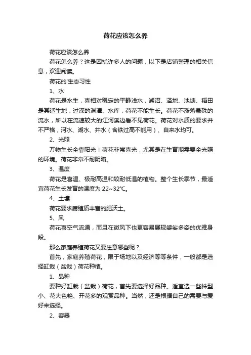 荷花应该怎么养