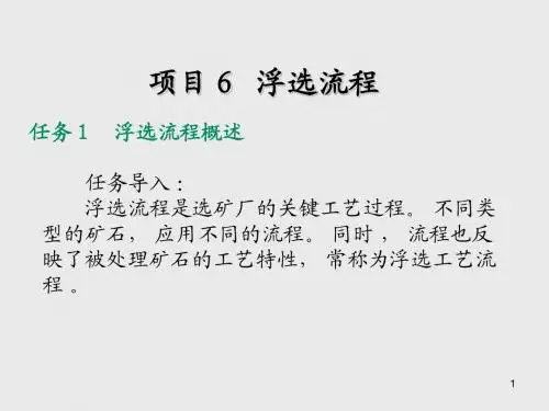 浮选技术项目6  浮选流程
