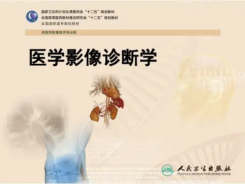 骨骼肌肉系统