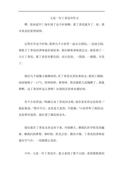 又是一年丁香花开作文
