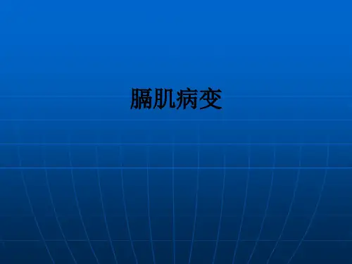 膈肌病变ppt课件