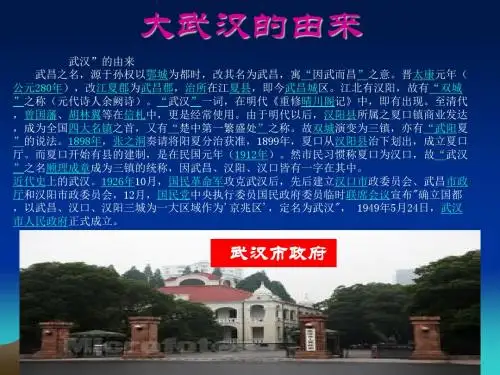 《第14课 可爱的家乡课件》小学信息技术武汉社课标版四年级上册课件