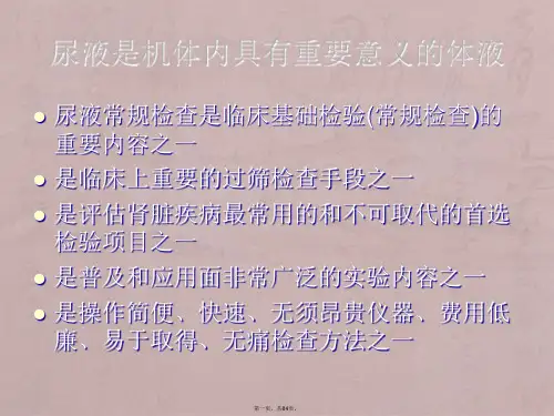 课件(尿液有形成分)