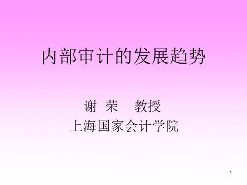 内部审计的发展趋势(PPT 58页)