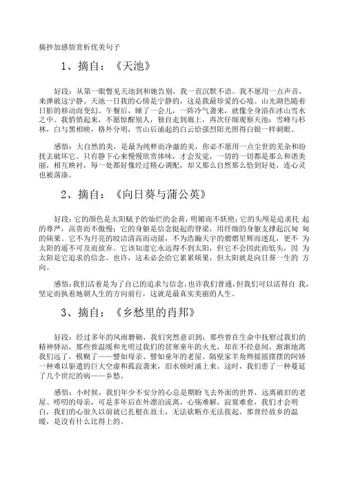 摘抄加感悟赏析优美句子