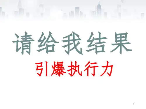 请给我结果引爆执行力参考PPT
