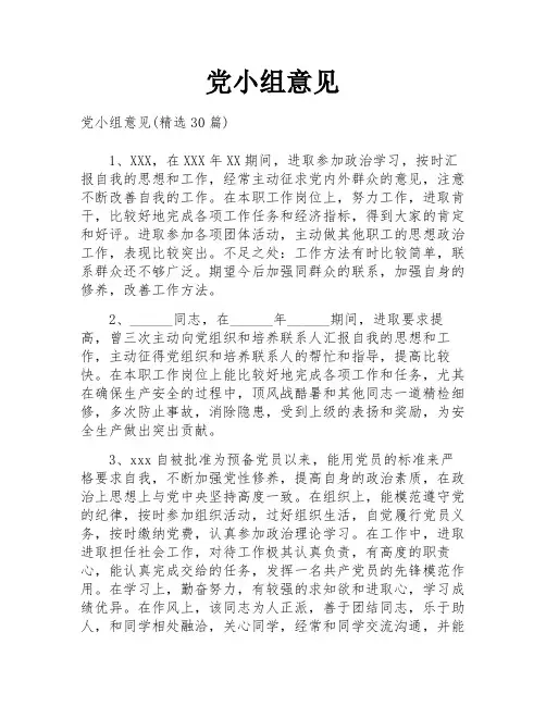 党小组意见