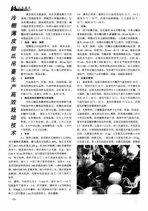冷棚薄皮甜瓜吊蔓生产高效栽培技术