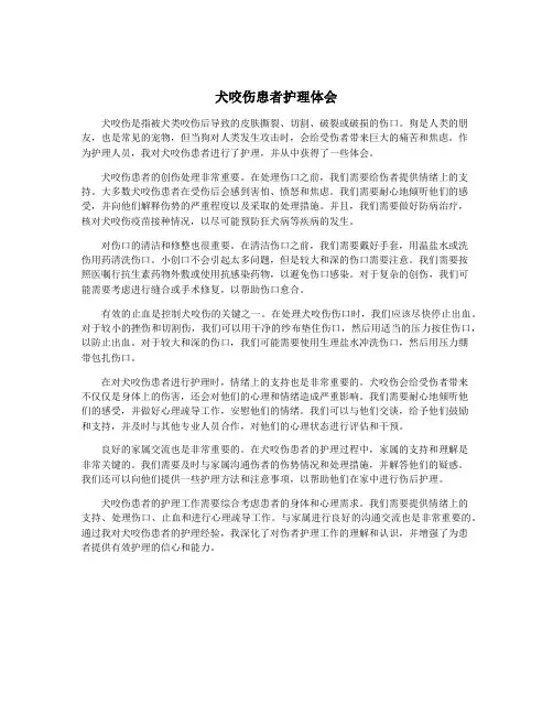 犬咬伤患者护理体会