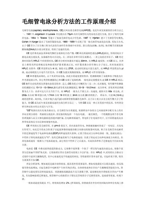毛细管电泳分析方法的工作原理介绍