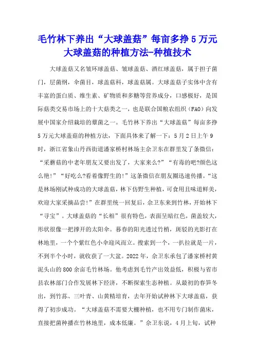 毛竹林下养出“大球盖菇”每亩多挣5万元  大球盖菇的种植方法 - 种植技术