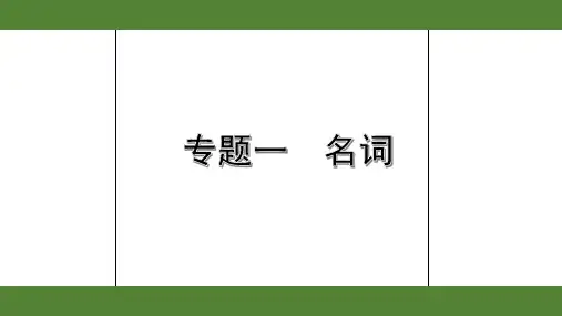 2020年英语中考语法复习1. 专题一  名词