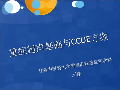 重症超声基础与CCUE方案PPT课件