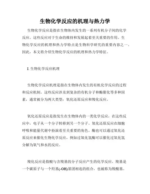 生物化学反应的机理与热力学