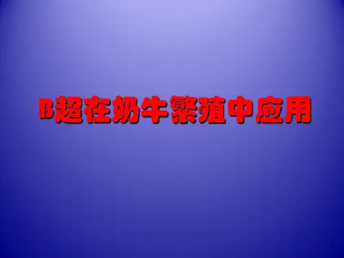 B超在奶牛繁殖中应用  PPT课件