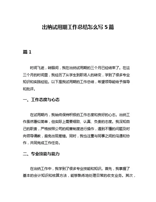 出纳试用期工作总结怎么写5篇