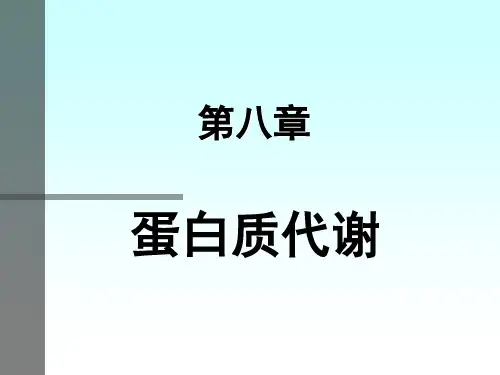 氨基酸知识ppt课件