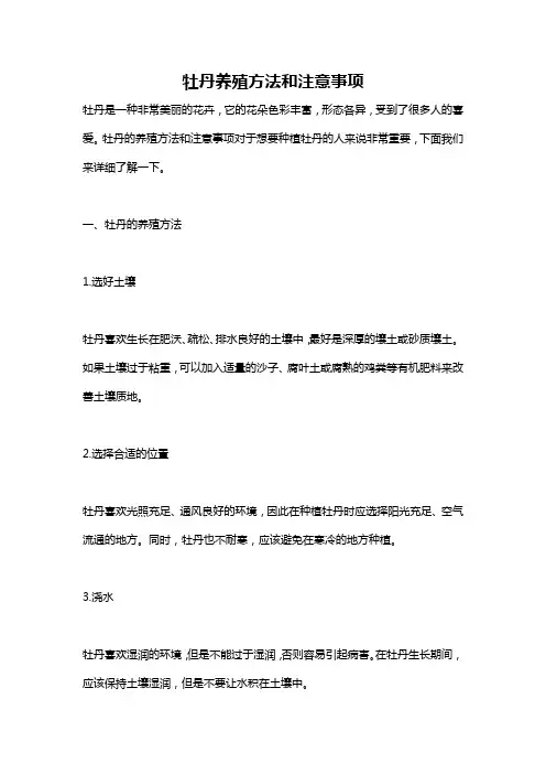 牡丹养殖方法和注意事项