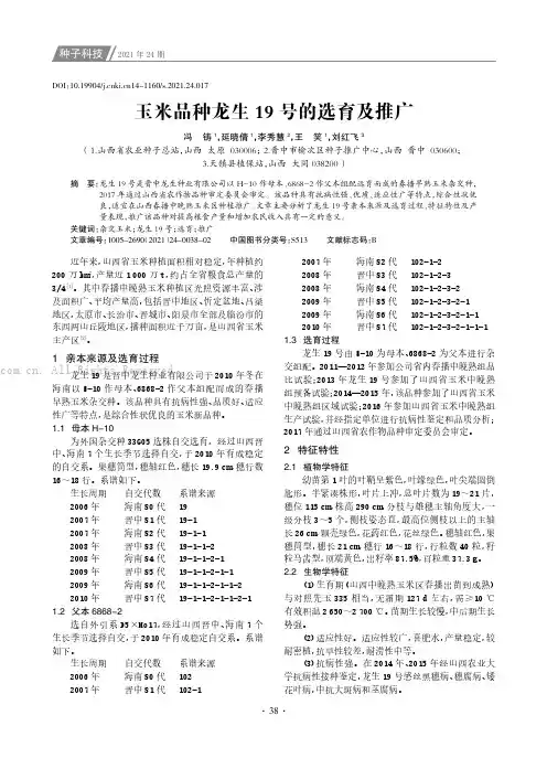 玉米品种龙生19号的选育及推广
