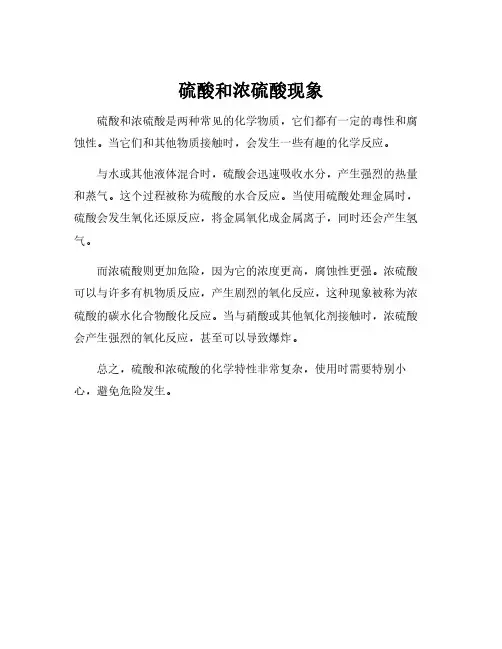 硫酸和浓硫酸现象