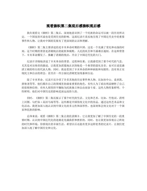 观看旗帜第二集观后感旗帜观后感