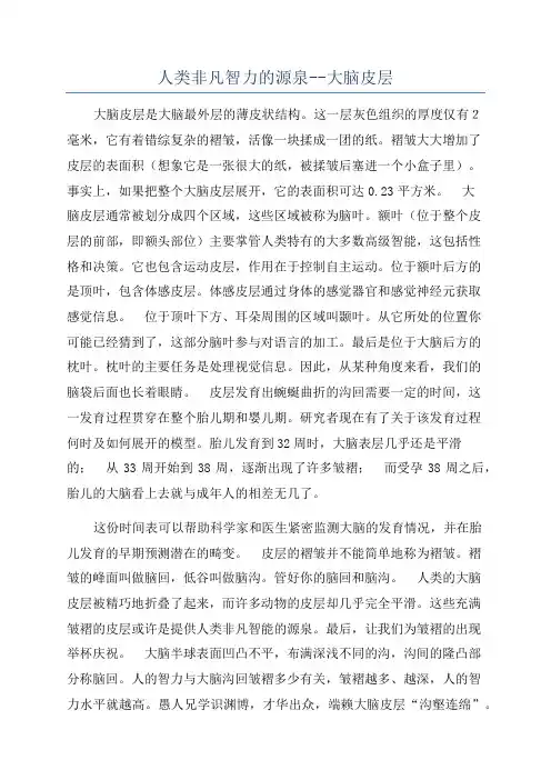 人类非凡智力的源泉--大脑皮层