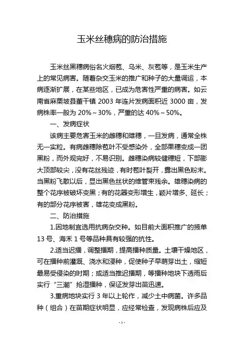 玉米丝穗病的防治措施