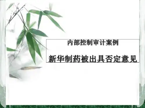 最新文档-审计案例分析--新华制药 完成版-PPT精品文档