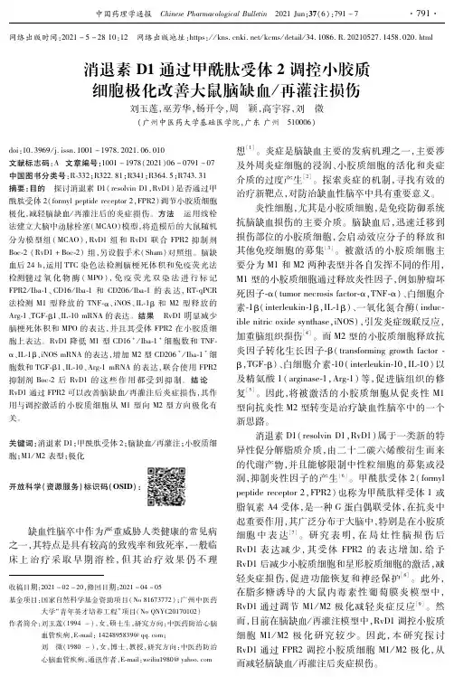 消退素D1通过甲酰肽受体2调控小胶质细胞极化改善大鼠脑缺血再灌注损伤