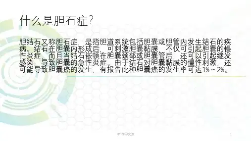 胆结石健康教育ppt课件