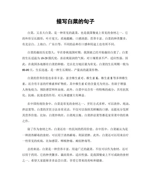 描写白菜的句子
