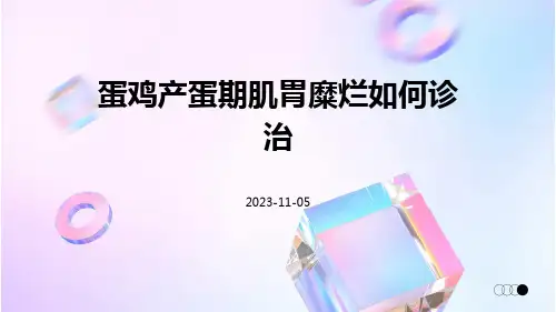 蛋鸡产蛋期肌胃糜烂如何诊治