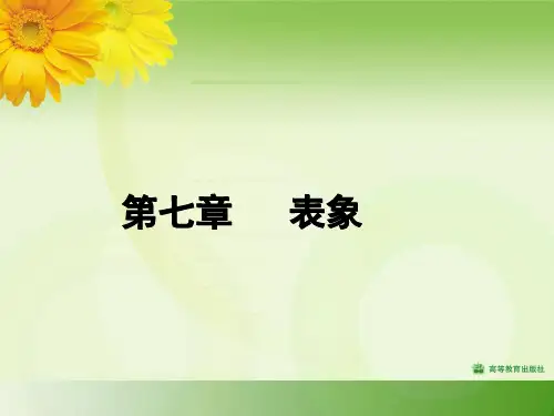 第七章 表象