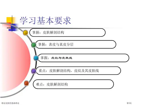 绪论皮肤的基础理论