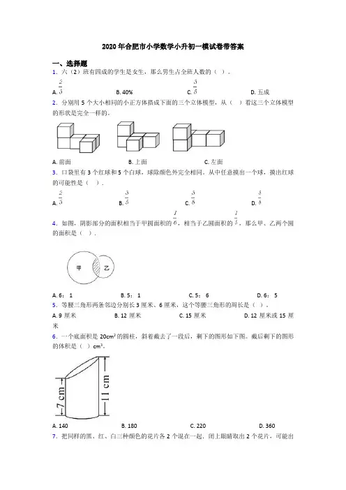 2020年合肥市小学数学小升初一模试卷带答案