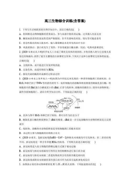 高三生物综合训练(含答案)