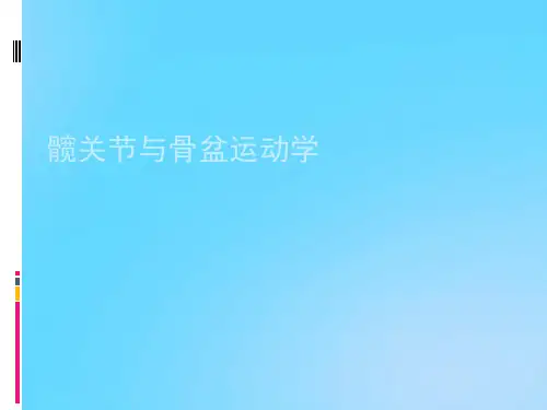 【优】髋关节与骨盆运动学PPT资料