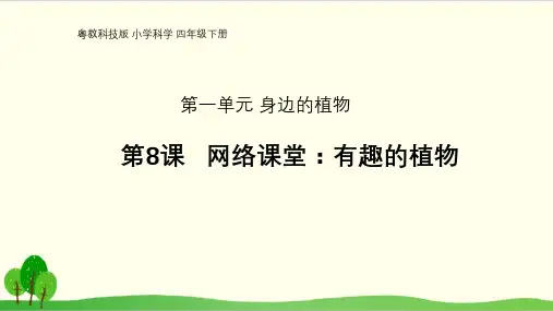 粤教版小学科学《网络课堂：有趣的植物》优秀-PPT1